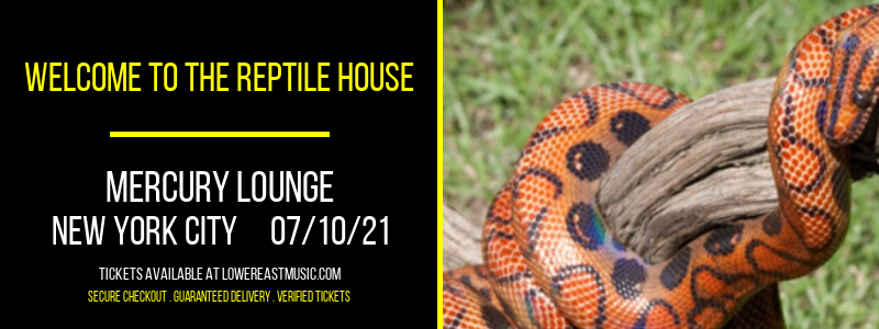 Welcome to the Reptile House at Mercury Lounge